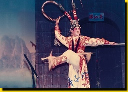Cantonese Opera (Traditional Operas) (Photograph by courtesy of Mr Lam Kar Sing)