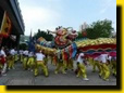 Villagers from Ma Tin Tsuen, Yuen Long were invited to perform a golden dragon dance at Hong Kong Heritage Museum on 18 October 2009. Visitors could enjoy the spectacular moves of the golden dragon.