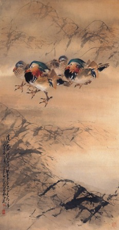 Mandarin Ducks