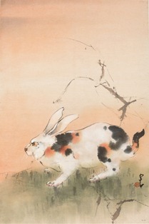 A Wily Rabbit in an Autumn Field