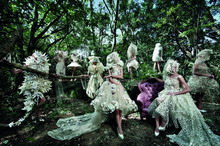 Fairies in the Woods