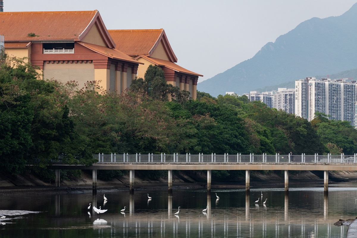 Family Friendly Birdwatching