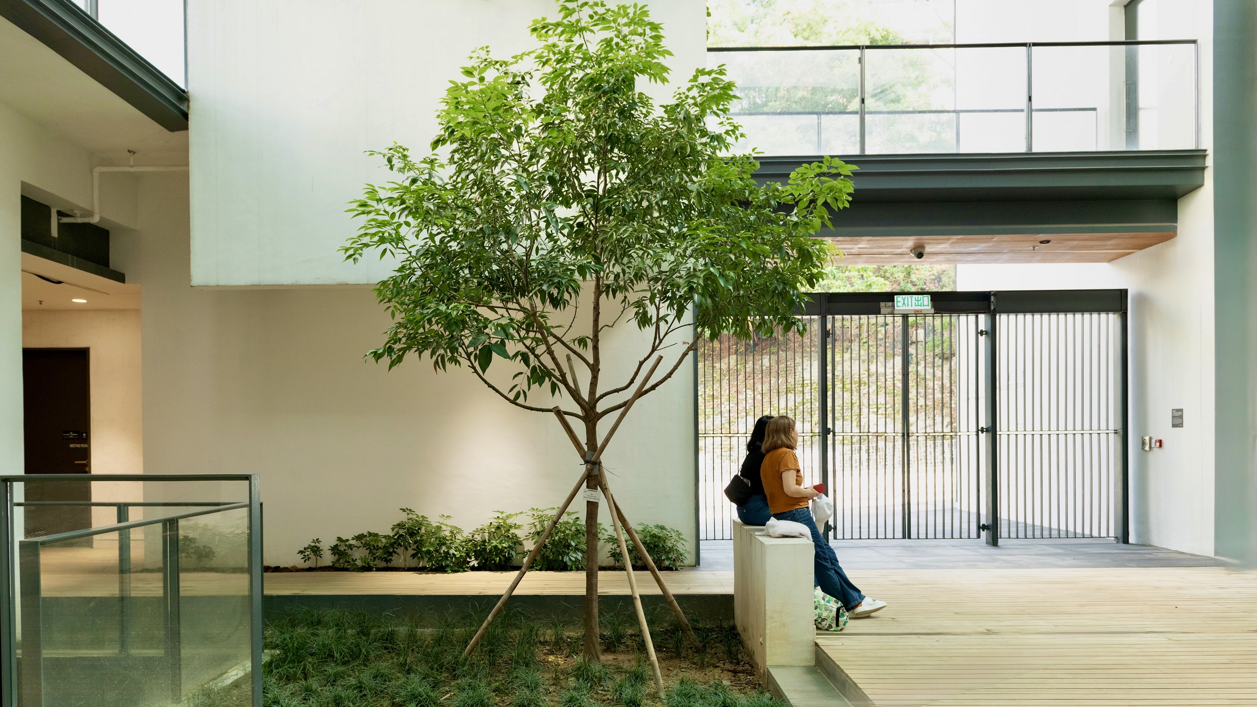 Che Kung Temple Sports Centre