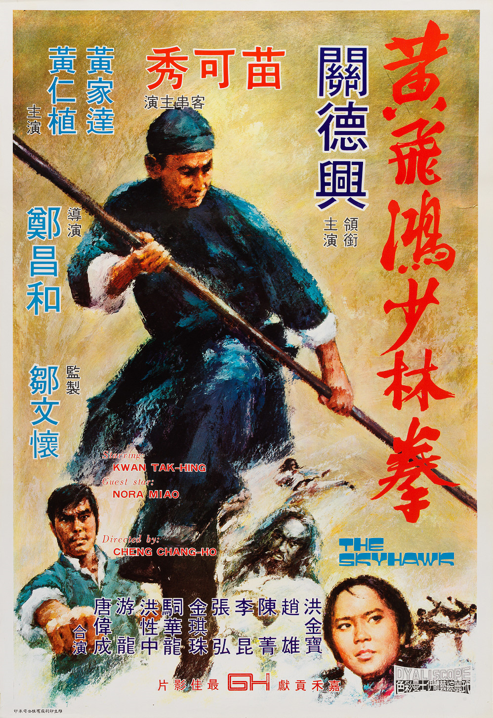 Poster of The Skyhawk